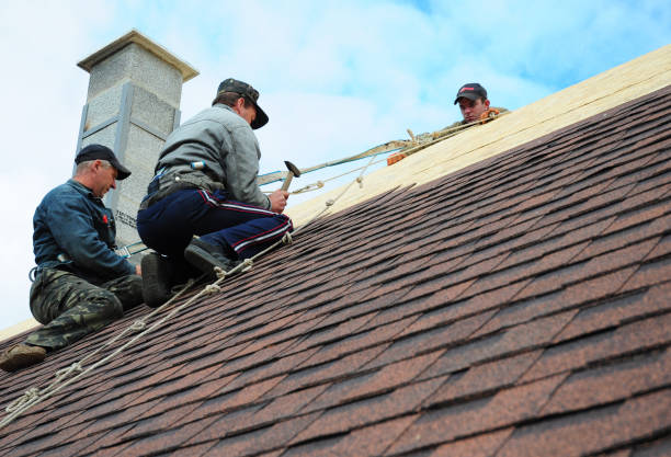 Quick and Trustworthy Emergency Roof Repair Services in Leadville, CO